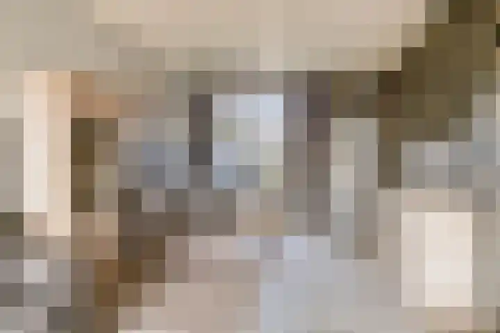 Opwettenseweg 110 Nuenen thumbnail 9