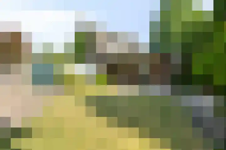 Opwettenseweg 113 Nuenen thumbnail 19