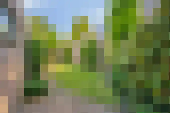 Opwettenseweg 113 Nuenen thumbnail 22