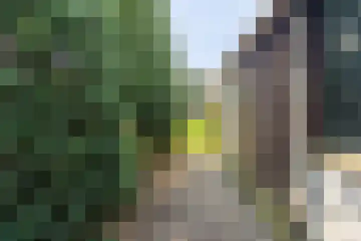 Opwettenseweg 113 Nuenen thumbnail 23