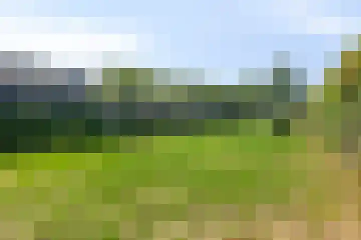 Opwettenseweg 113 Nuenen thumbnail 25