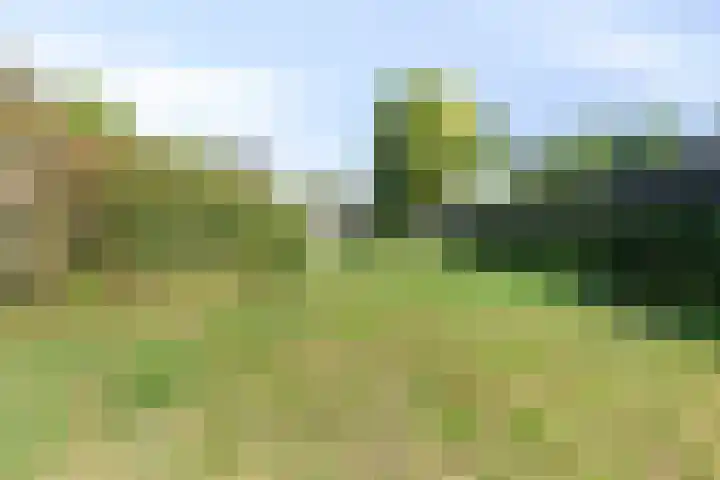 Opwettenseweg 113 Nuenen thumbnail 26
