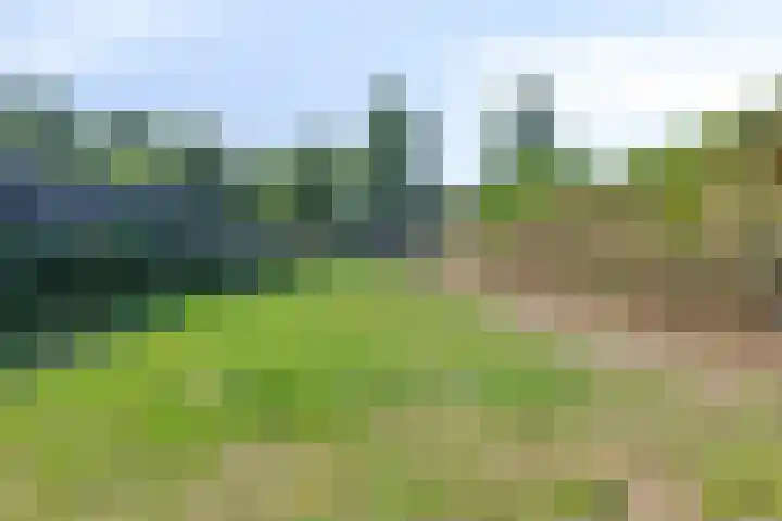 Opwettenseweg 113 Nuenen thumbnail 27