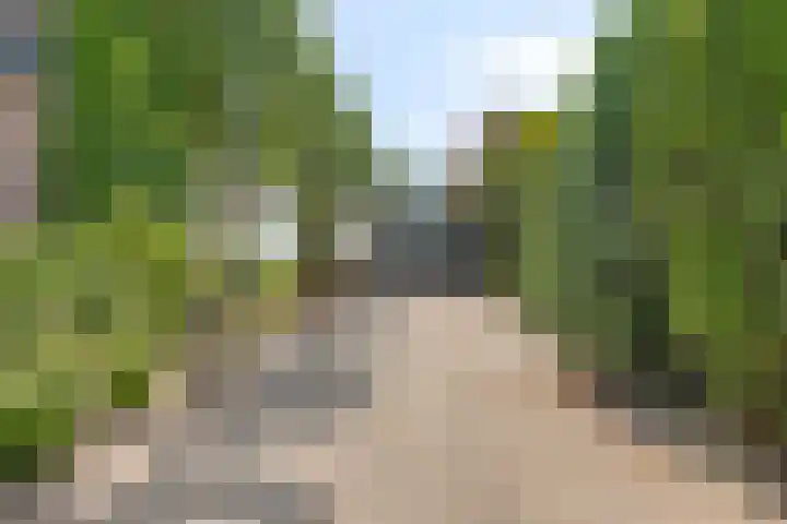 Opwettenseweg 113 Nuenen thumbnail 29