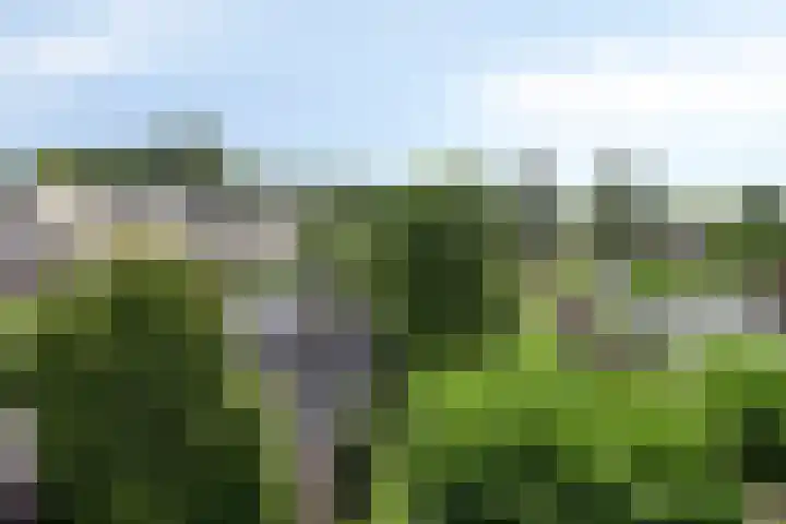 Opwettenseweg 113 Nuenen thumbnail 30