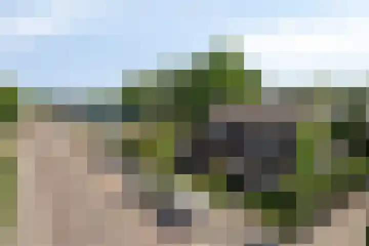 Opwettenseweg 113 Nuenen thumbnail 35
