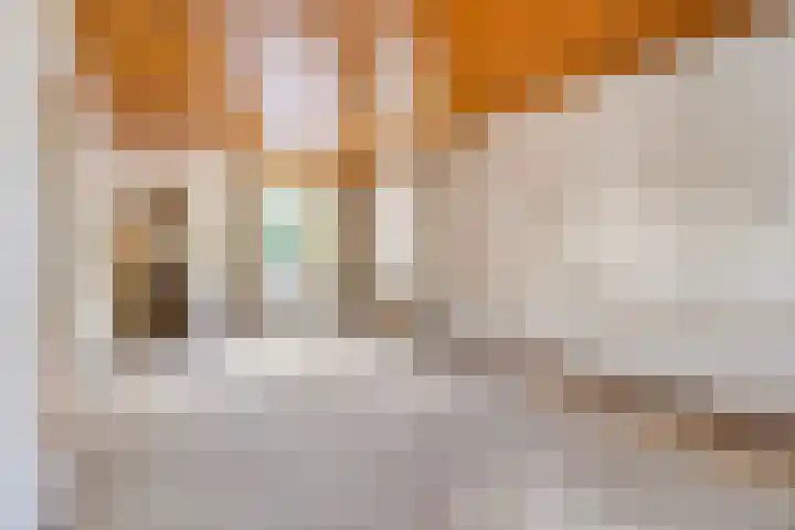 Opwettenseweg 113 Nuenen thumbnail 7