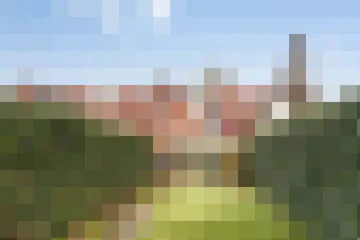 Opwettenseweg 157 Nuenen thumbnail 25