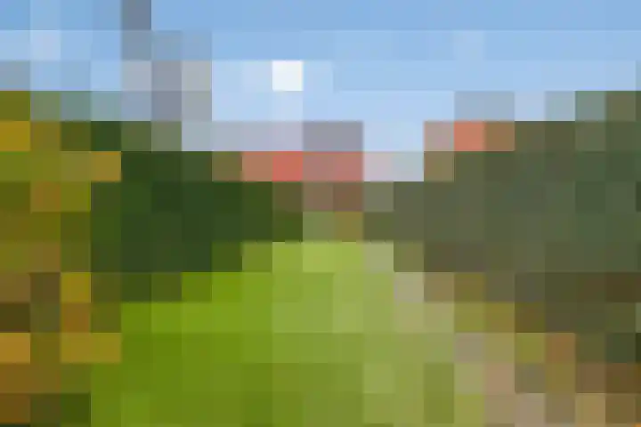 Opwettenseweg 157 Nuenen thumbnail 28