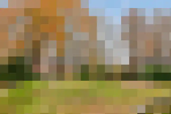 Opwettenseweg 157 Nuenen thumbnail 34