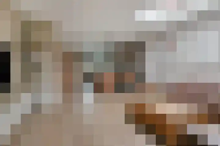 Opwettenseweg 157 Nuenen thumbnail 8