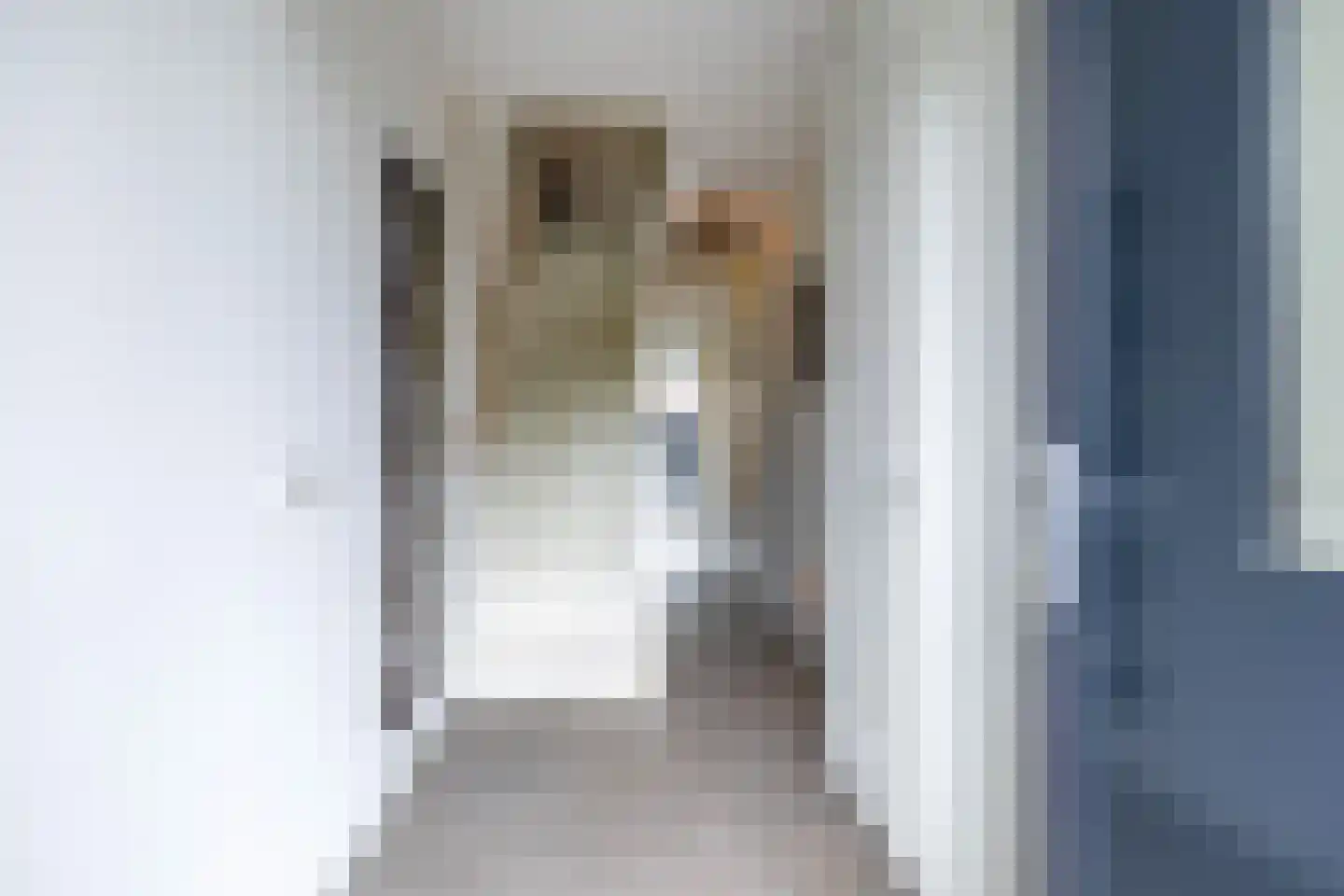 Opwierderweg 68 Appingedam thumbnail 5