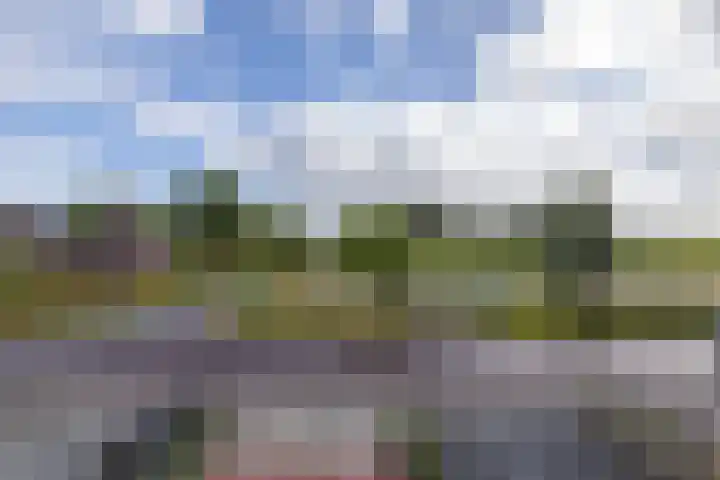 Opwierderweg 76 Appingedam thumbnail 28