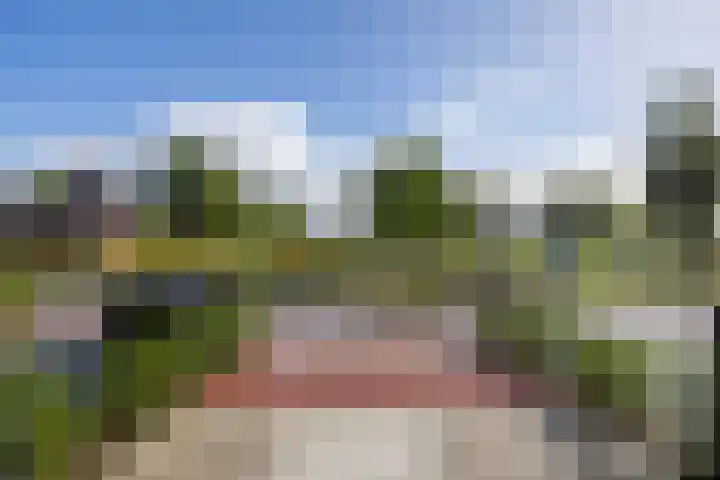 Opwierderweg 76 Appingedam thumbnail 30