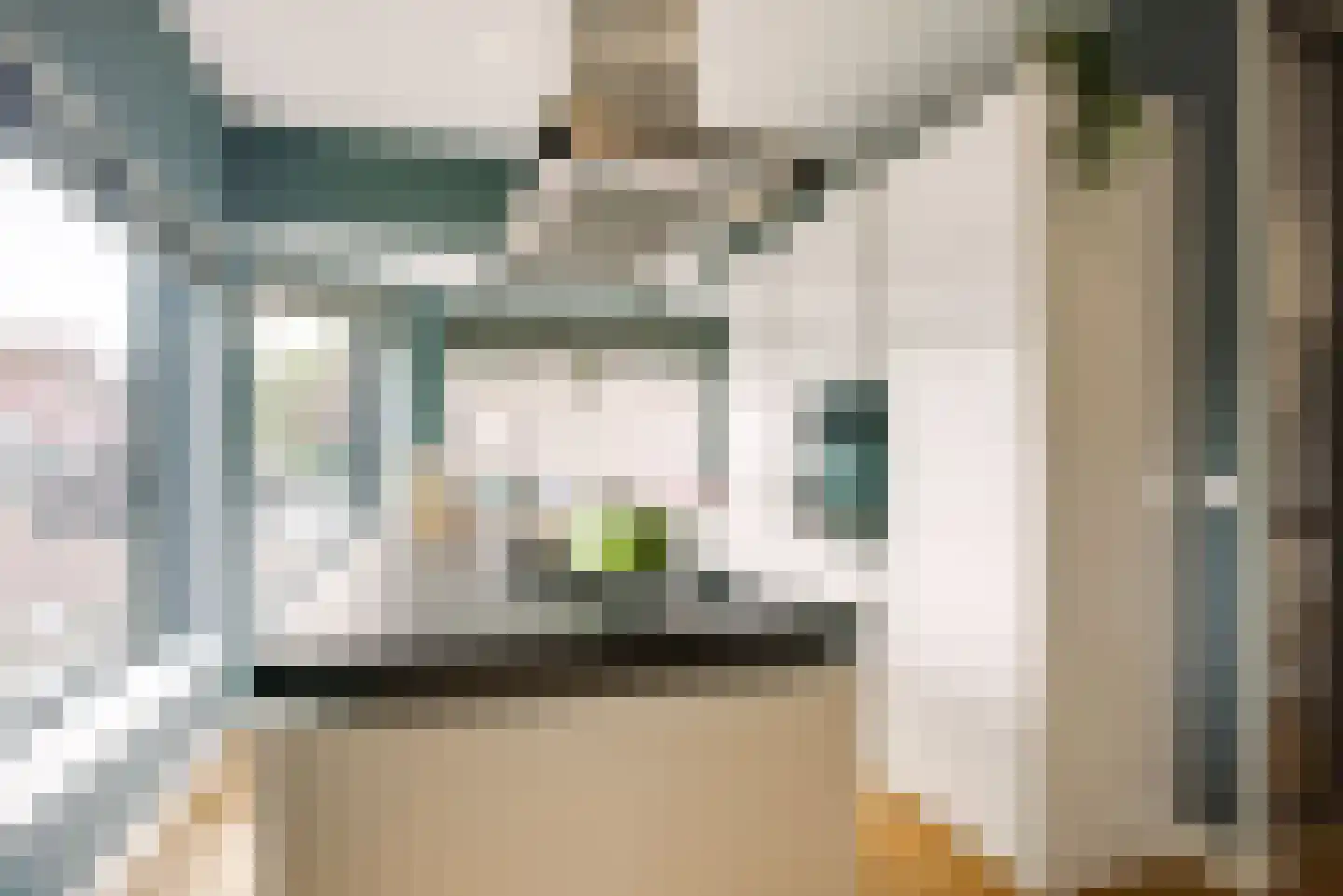 Opwijckstraat 29 Voorburg thumbnail 16