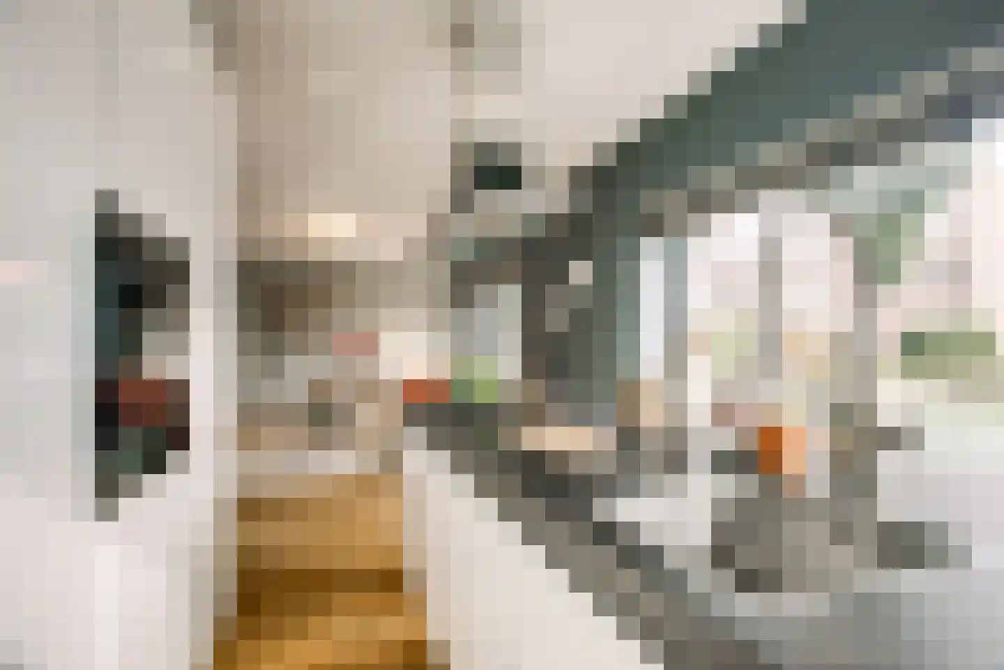 Opwijckstraat 29 Voorburg thumbnail 18