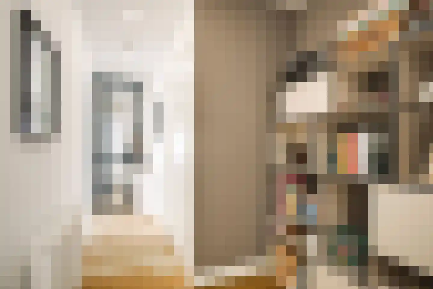Opwijckstraat 29 Voorburg thumbnail 25
