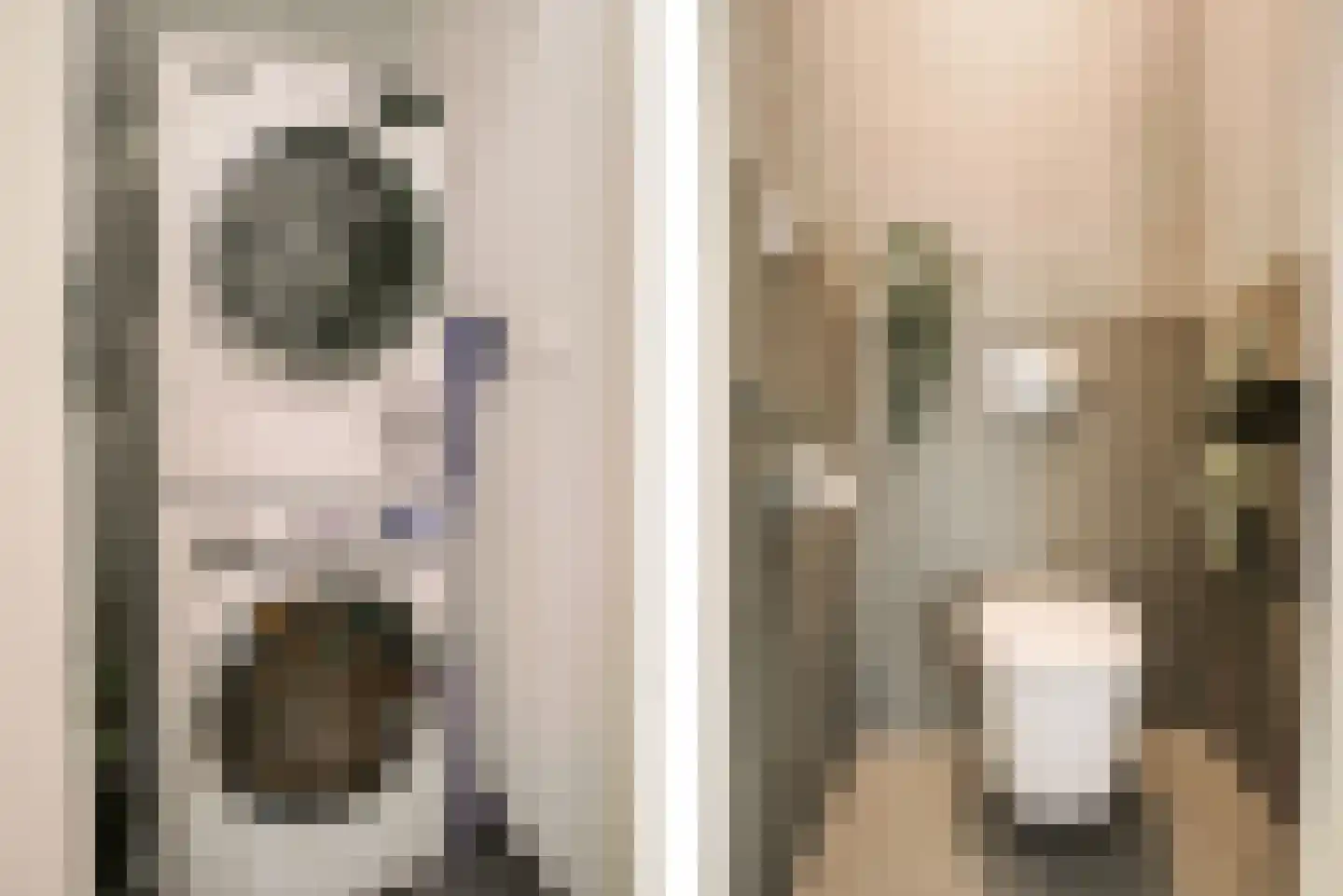 Opwijckstraat 29 Voorburg thumbnail 28