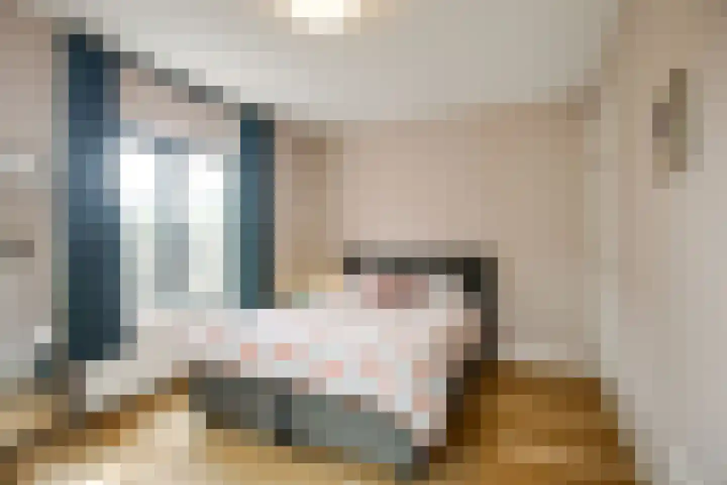 Opwijckstraat 29 Voorburg thumbnail 34