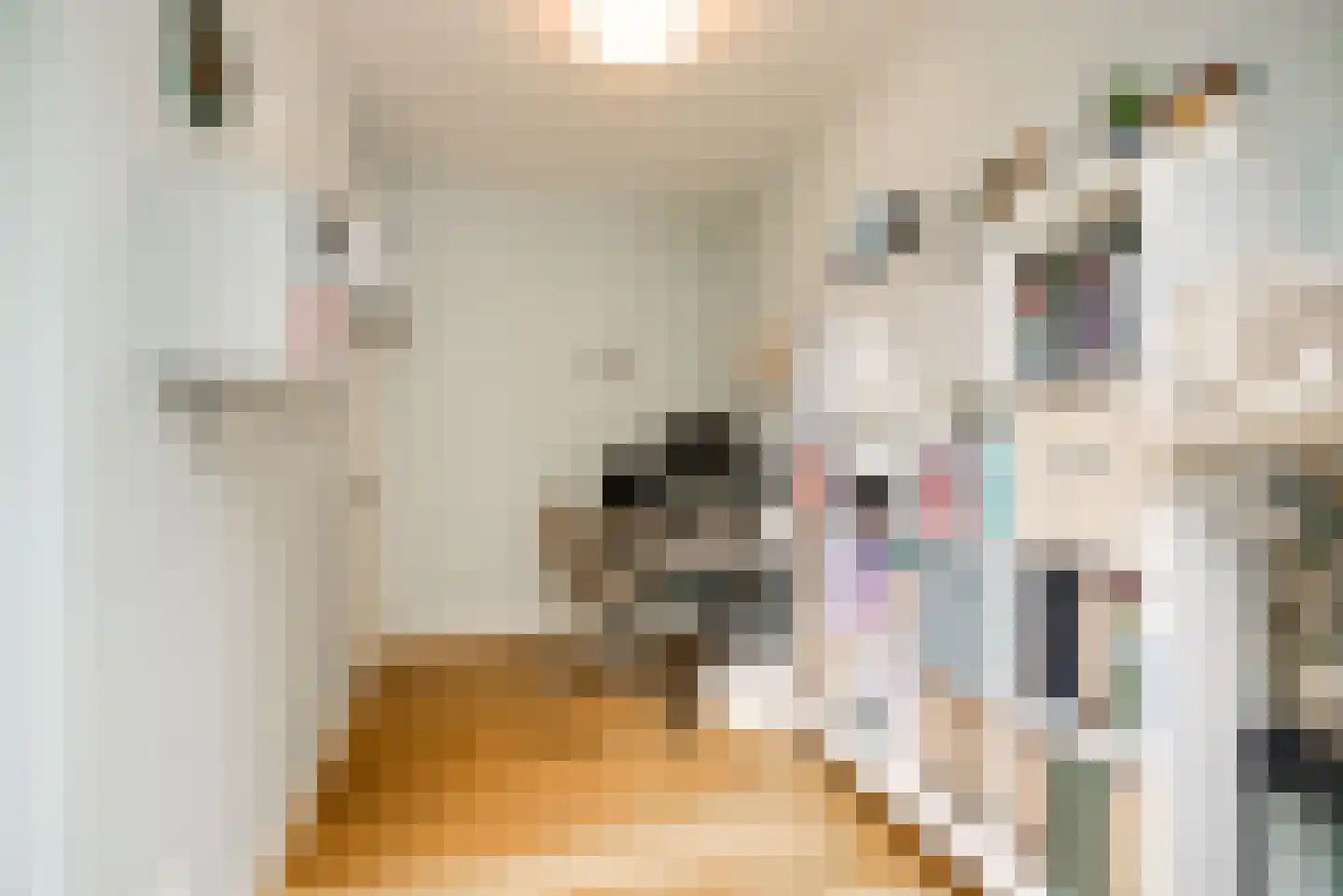 Opwijckstraat 29 Voorburg thumbnail 36
