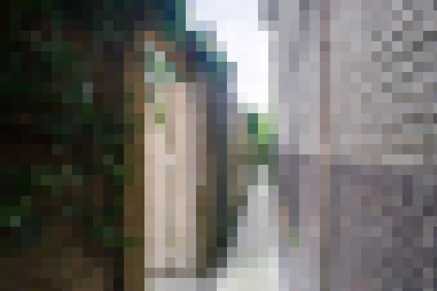Opwijckstraat 29 Voorburg thumbnail 46