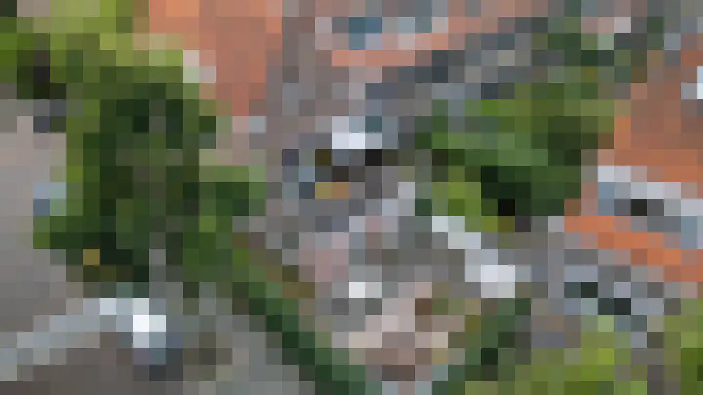 Opwijckstraat 29 Voorburg thumbnail 50