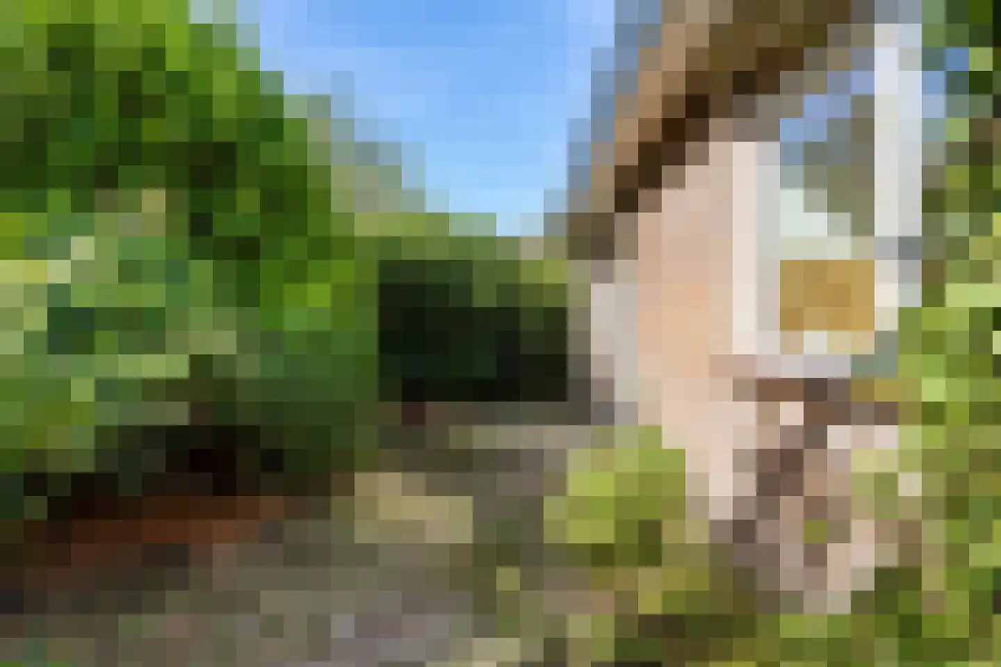 Opzienersweg 60 Haulerwijk thumbnail 50