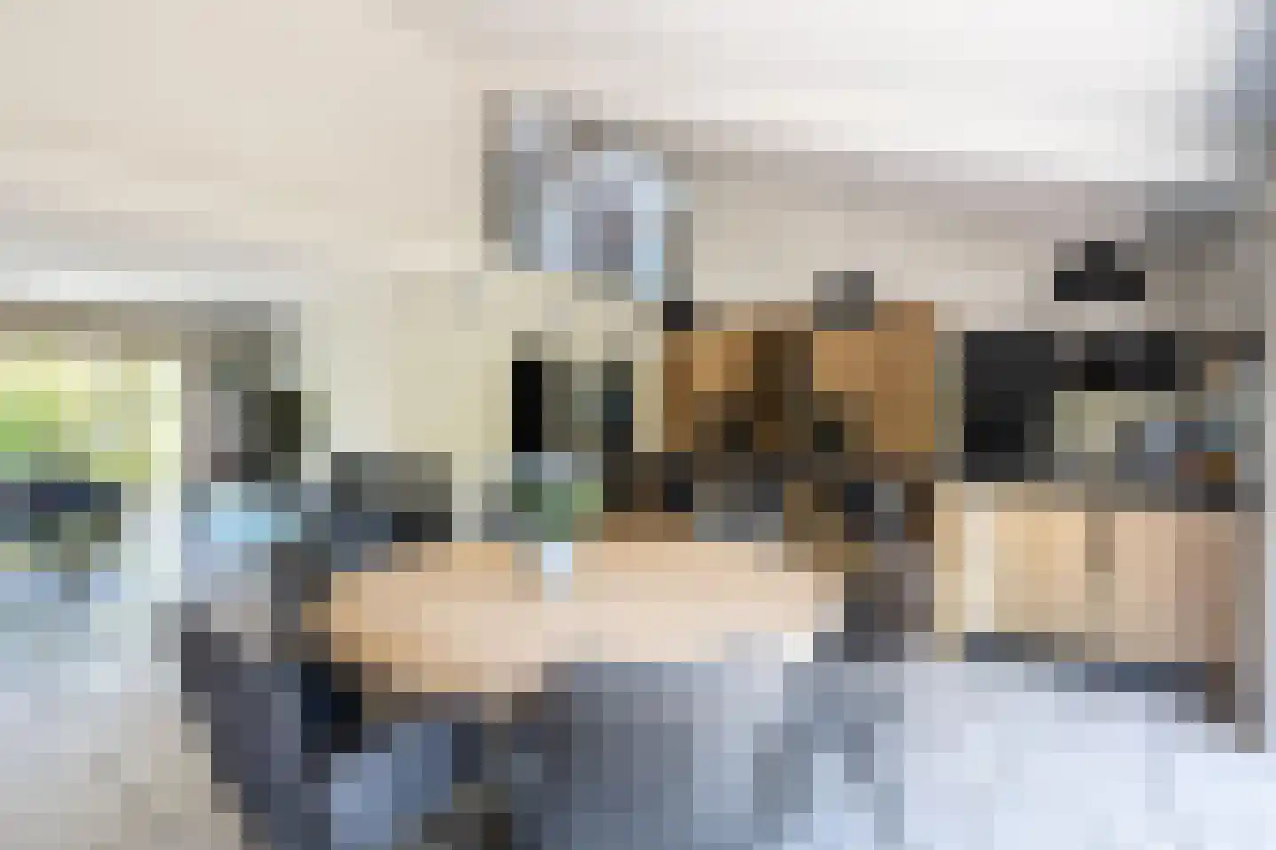 Opzoomerlaan 116 Hellevoetsluis thumbnail 21