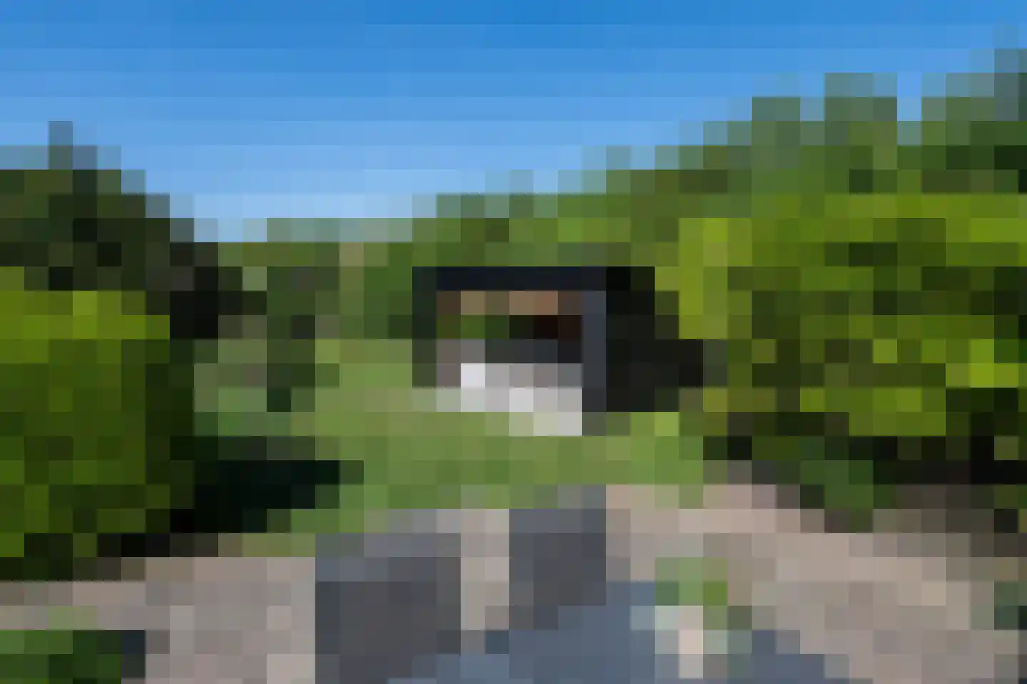 Opzoomerlaan 116 Hellevoetsluis thumbnail 74