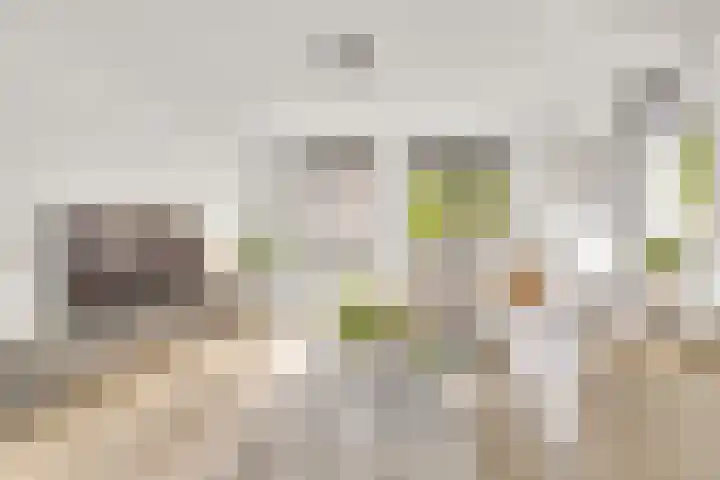 Opzoomerlaan 17 Hellevoetsluis thumbnail 16