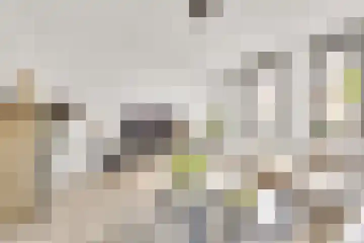 Opzoomerlaan 17 Hellevoetsluis thumbnail 17