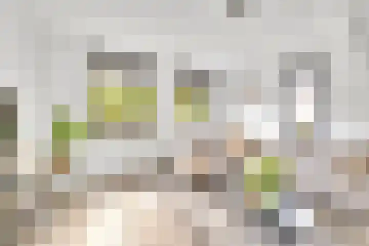 Opzoomerlaan 17 Hellevoetsluis thumbnail 18