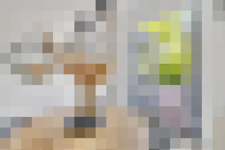 Opzoomerlaan 17 Hellevoetsluis thumbnail 23