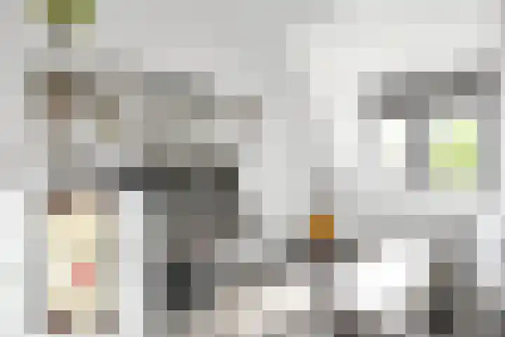 Opzoomerlaan 17 Hellevoetsluis thumbnail 31