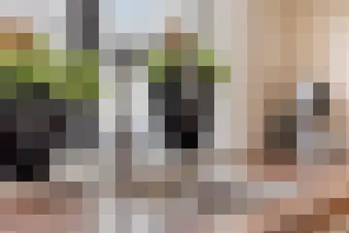 Opzoomerlaan 31 Hellevoetsluis thumbnail 7