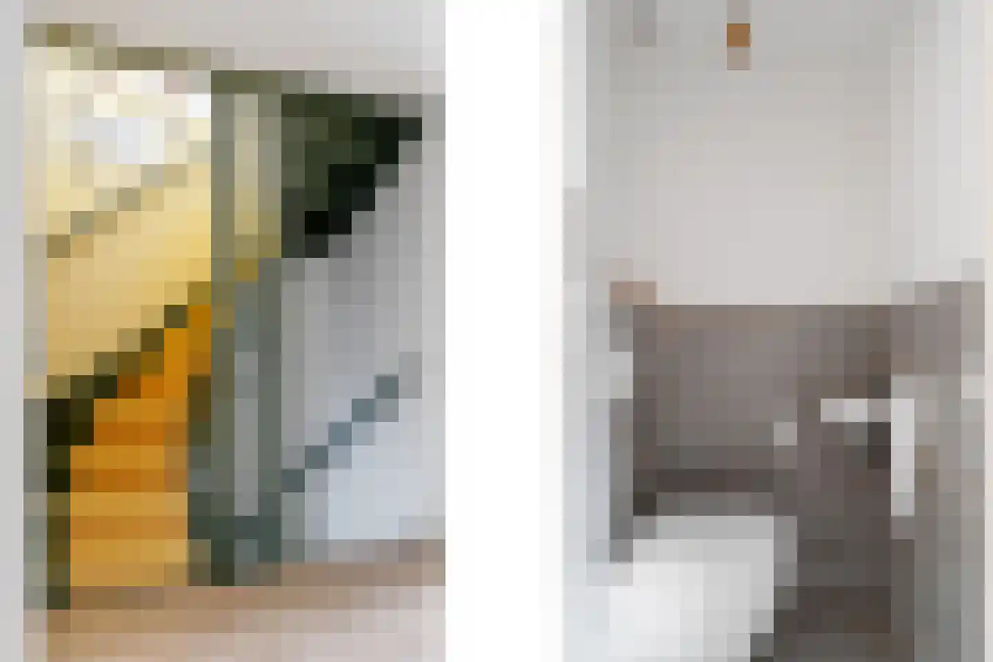 Opzoomerstraat 11 B Rotterdam thumbnail 32