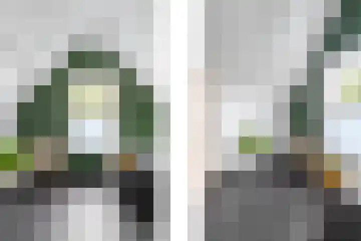 Opzoomerstraat 20 A 02 Rotterdam thumbnail 38