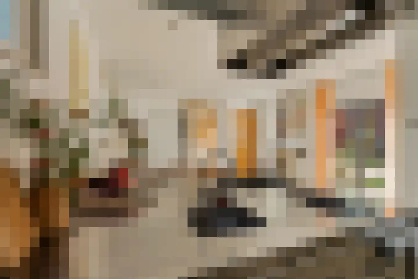 Opzoomerstraat 4 A Rotterdam thumbnail 6