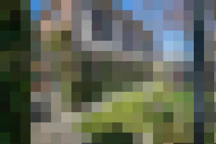 Orakellaantje 19 Gorinchem thumbnail 36