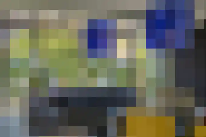 Orakellaantje 19 Gorinchem thumbnail 4