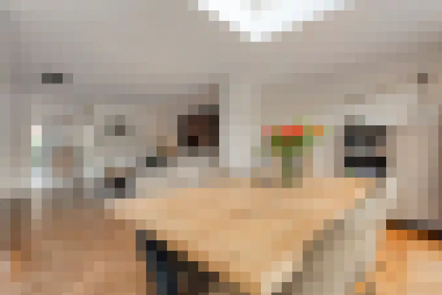 Orangerie 19 Almelo thumbnail 11