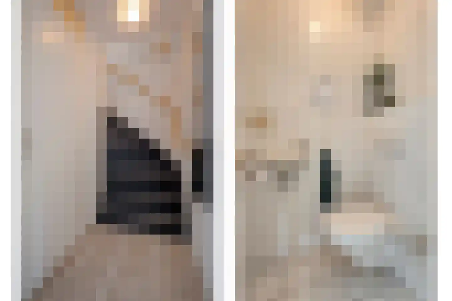Orangerie 19 Almelo thumbnail 15