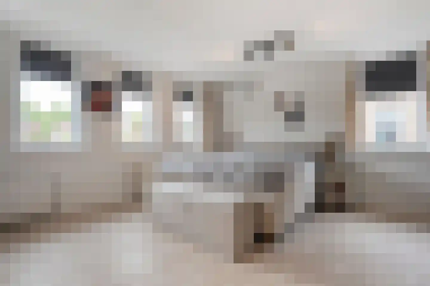 Orangerie 19 Almelo thumbnail 16