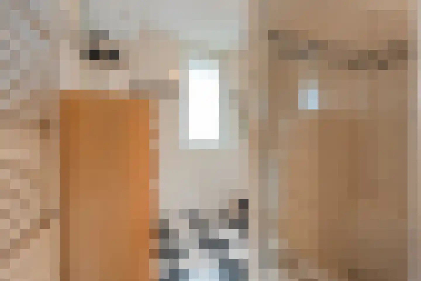 Orangerie 19 Almelo thumbnail 19