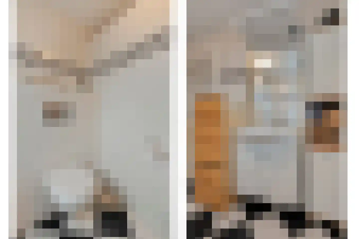 Orangerie 19 Almelo thumbnail 20