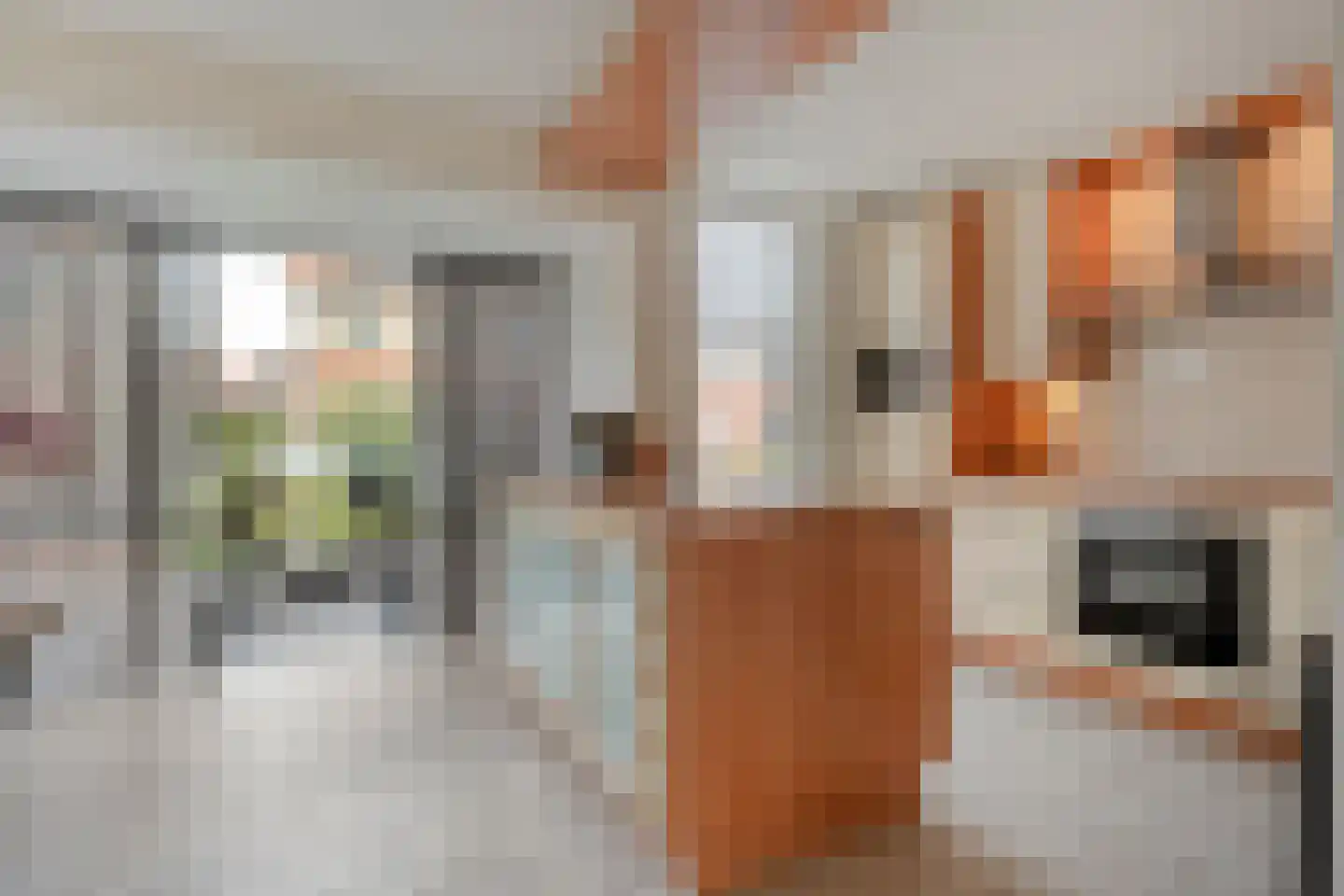 Orangerie 19 Almelo thumbnail 6