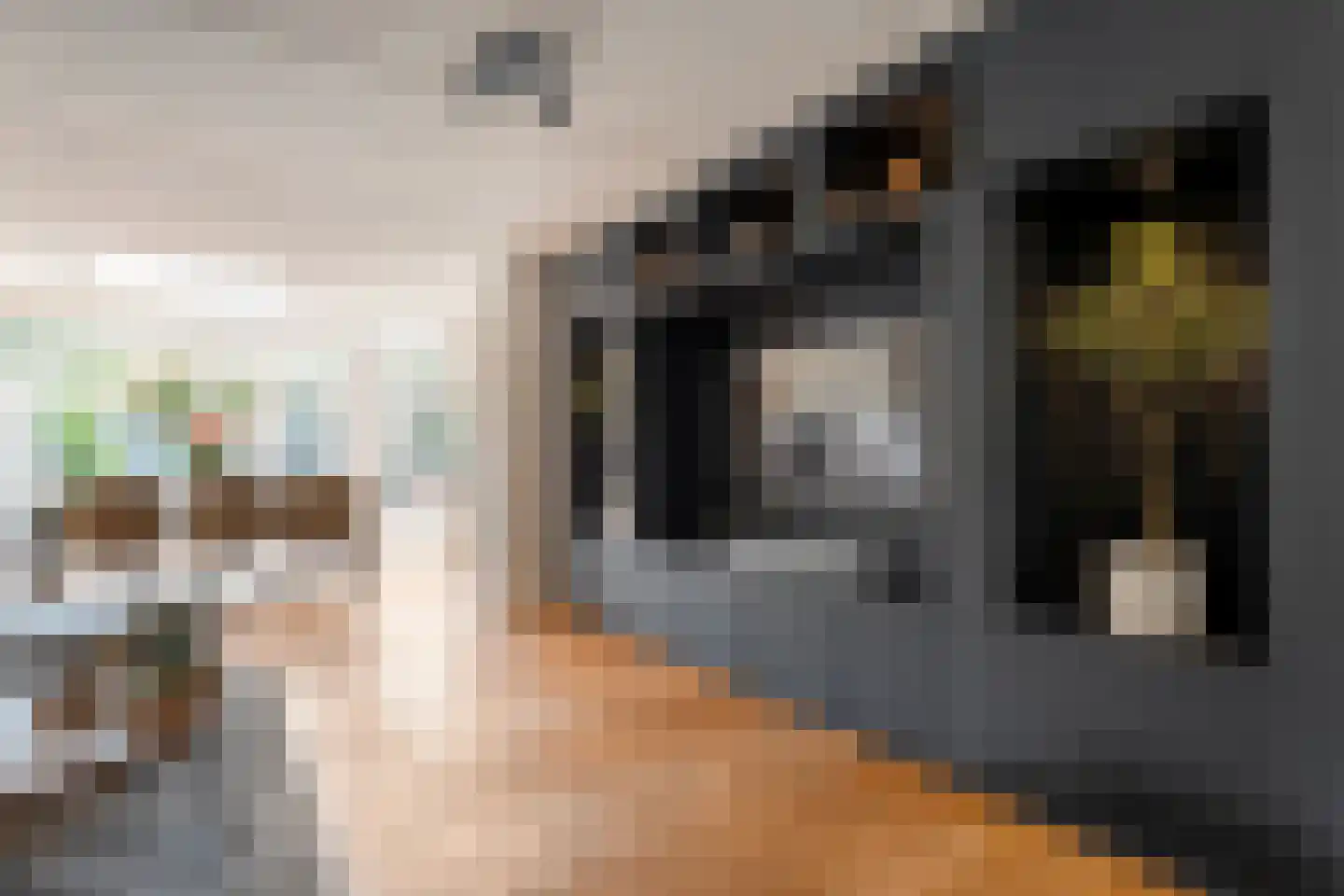 Orangerie 19 Almelo thumbnail 9