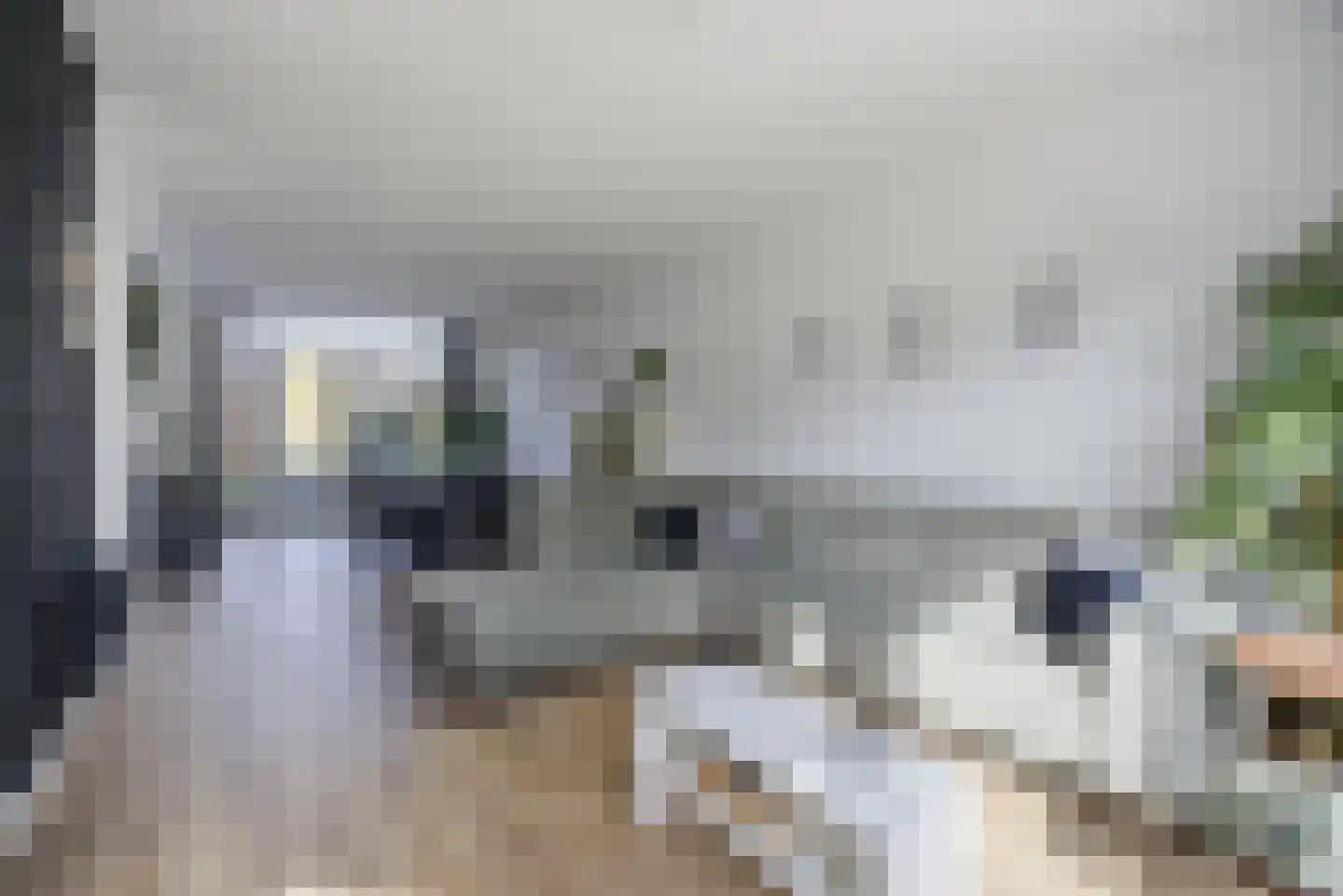 Orangerie 8 Etten-Leur thumbnail 11