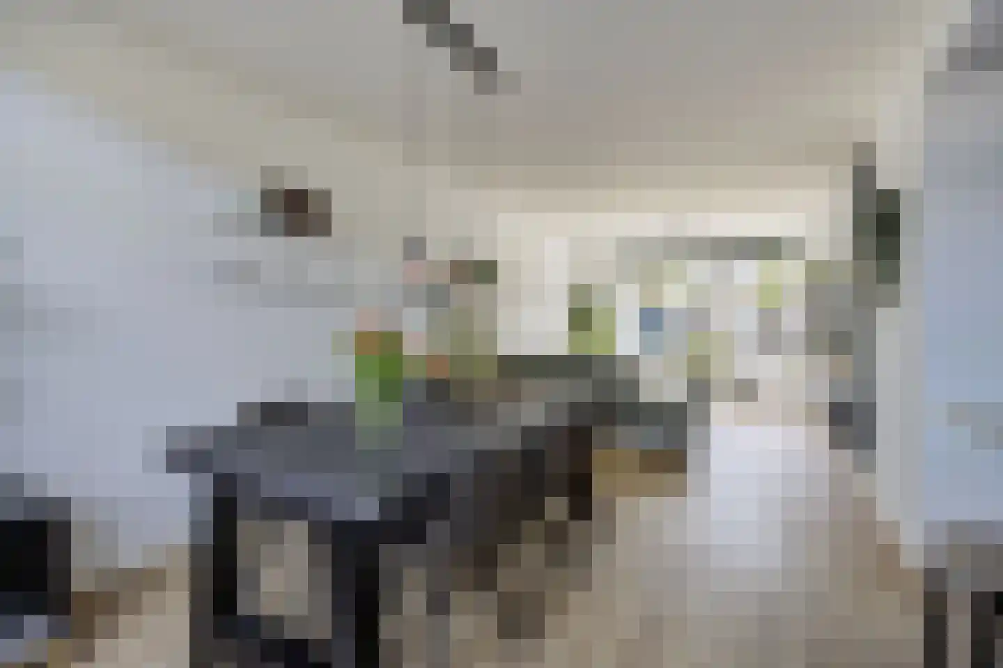 Orangerie 8 Etten-Leur thumbnail 16