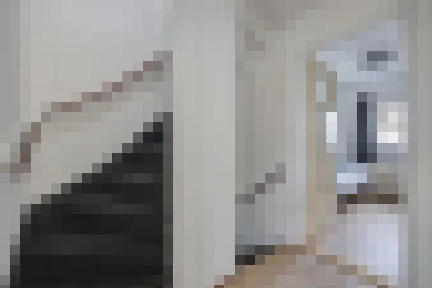 Orangerie 8 Etten-Leur thumbnail 19